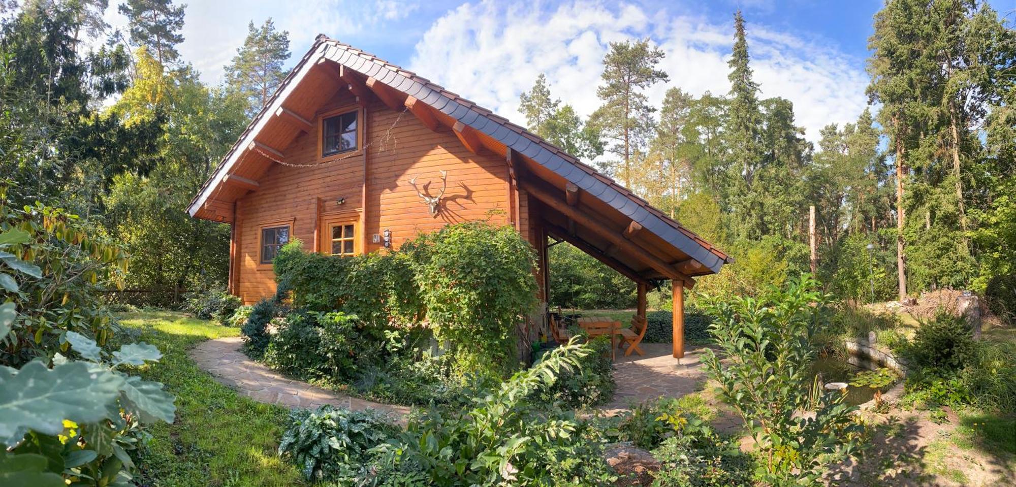 Waldhaus Eichhoernchen Бад-Шмідеберг Екстер'єр фото